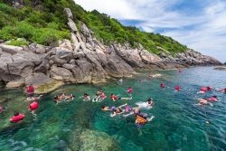 Da Nang to Cham Islands 1 day 