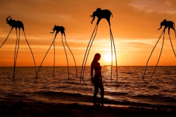 Night Squid Fishing - Phu Quoc