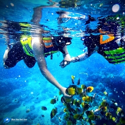 Coral Snorkeling in Son  Tra peninsula half - day tour