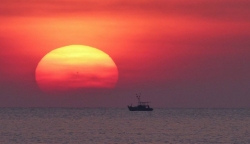 Night Squid Fishing - Phu Quoc